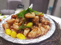 -丁老爷子苏香圆