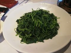-沪碟·精菜坊(闵行店)