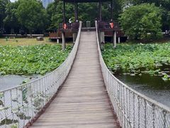-荷塘月色湿地公园·向阳花洲