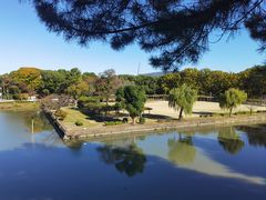 -名古屋城