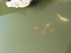 -口岸雕花楼