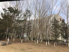 -长春净月潭喜来登酒店·盛宴标帜餐厅