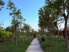 -天津东丽湖风景区