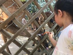 -萌宠亲子动物乐园(槐房万达店)