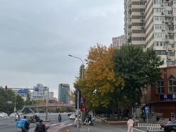 -宜肤清颜专业祛痘问题肌修护