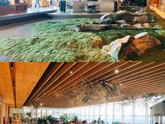 -Seesaw Coffee(朝阳大悦城店)