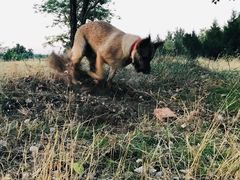 -永定河休闲森林公园