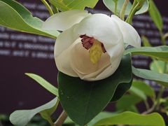 -大连天门山国家森林公园