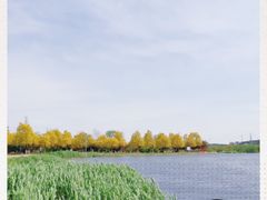 -永定河休闲森林公园