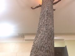 -阿尔谢尼耶夫远东历史博物馆(阿尔谢尼耶夫滨海区店)