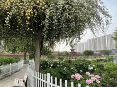 -曹州百花园