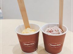 -哈根达斯(石家庄北国店)