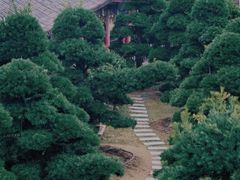 -华雅花园大酒店