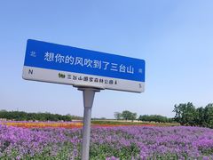 -江苏三台山国家森林公园