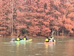 -上海海湾国家森林公园