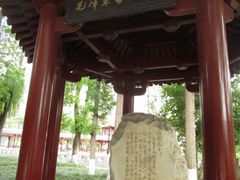 -温江公园