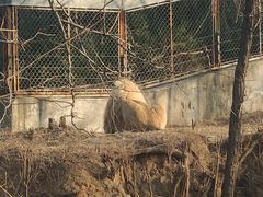 -石家庄市动物园