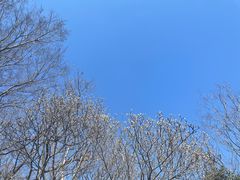 -南京市江宁方山