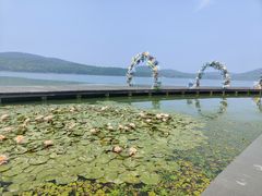 -水上明月·湖景餐厅