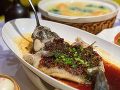 -南麓·浙里(外滩店)