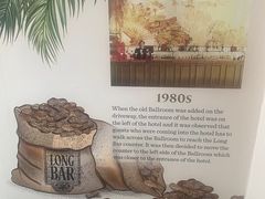 -Long Bar(莱佛士酒店)