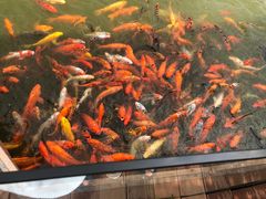 -春晖园度假酒店温泉