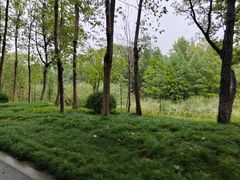 -昆山城市生态森林公园