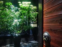 -龙悦湾酒家·八阵鱼生·渔人码头店