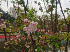 -海棠花溪(元大都城垣遗址公园)