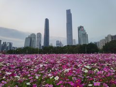 -海心沙亚运公园