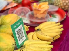 -西双版纳傣族园