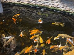 -伯乐居茶艺馆(石岐大信店)