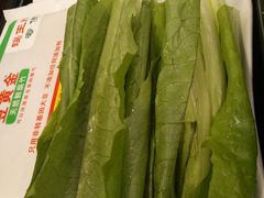 麻酱油麦菜-蝎王府羊蝎子(西直门店)
