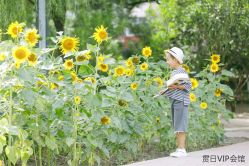 -贯日漂亮宝贝儿童摄影