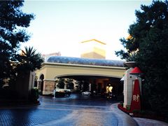 IMG_1948-拉斯维加斯永利酒店