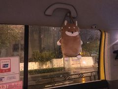 -上影国际影城(普陀绿地缤纷城店)