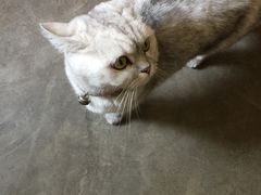 -研途咖啡馆(健康路店)