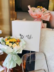 -YESIDO椰岛造型
