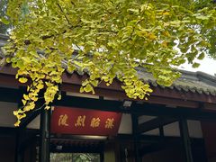 -成都武侯祠博物馆