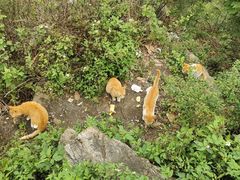 -广州市白云山风景名胜区