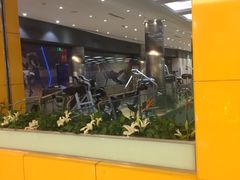 -威尔仕健身(金茂店)