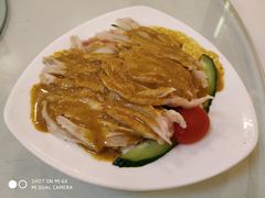 -九花山烤鸭店
