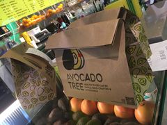-油梨树AVOCADO TREE(望京店)