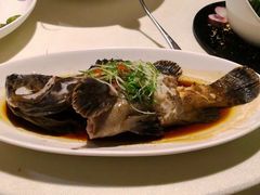 -梧桐餐厅(泉城路店)