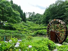 -鼓岭旅游度假区