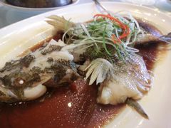 -沪碟·精菜坊(闵行店)