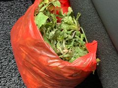 -小鱼草莓采摘园农家乐·小鱼餐厅