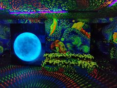 -成都梵高星空艺术馆(春熙路旗舰店)