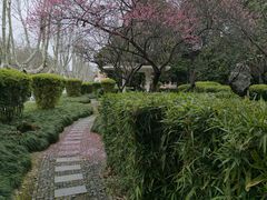 -浙江大学(玉泉校区)