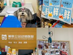-美联众合动物医院·24h京西诊疗中心